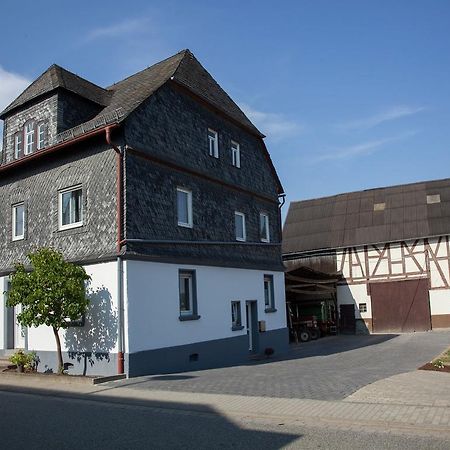 Spacious Holiday Home Between Mosel And Hunsr Ck Blankenrath Bagian luar foto